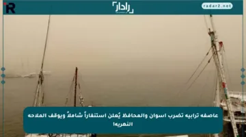 عاصفة ترابية تضرب أسوان والمحافظ يُعلن استنفاراً شاملاً ويوقف الملاحة النهرية!